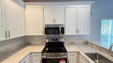 20227 Vintage Oaks Pl in Tampa, FL - Building Photo - Building Photo