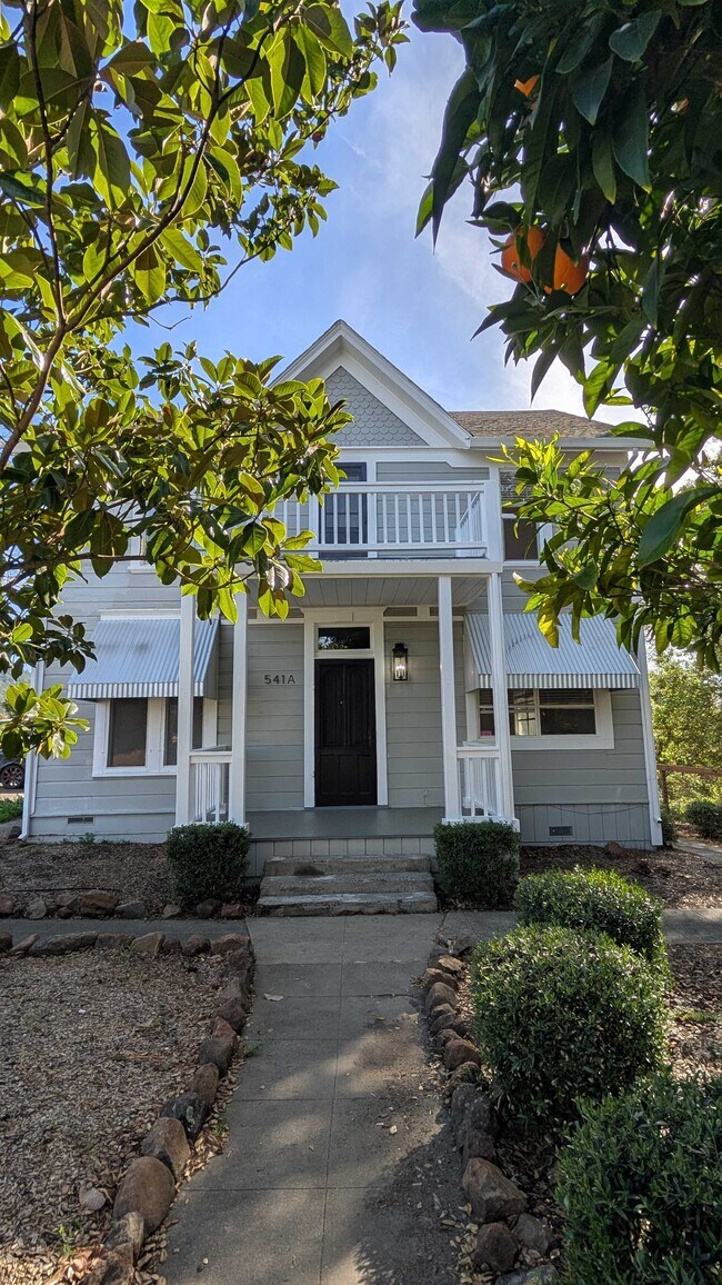 541 Mason St in Healdsburg, CA - Building Photo - Building Photo