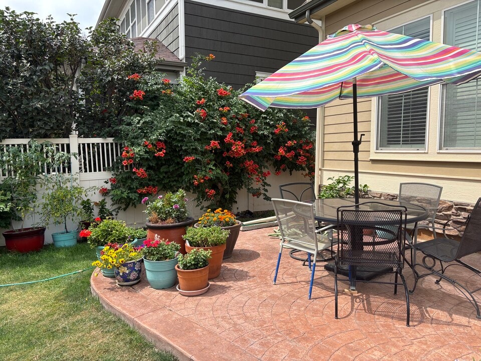 11666 Osceola St, Unit Basement apartment in Westminster, CO - Building Photo