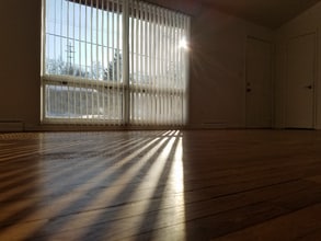 405 Cedar St NE in Grand Rapids, MI - Building Photo - Building Photo
