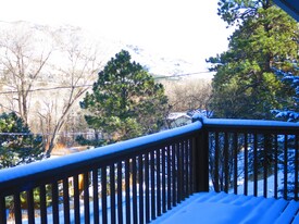 9885 Fountain Rd in Cascade, CO - Building Photo