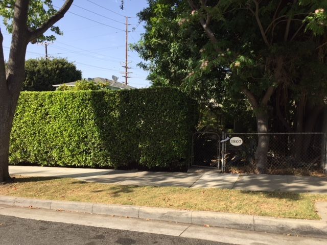 1807 19th in Santa Monica, CA - Building Photo