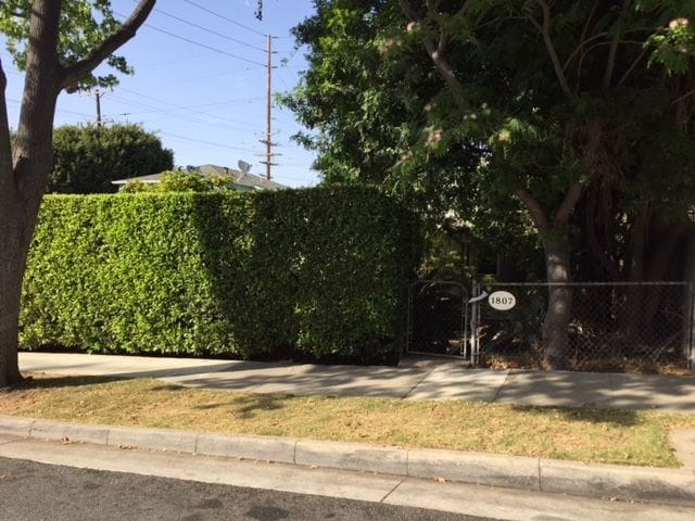 property at 1807 19th