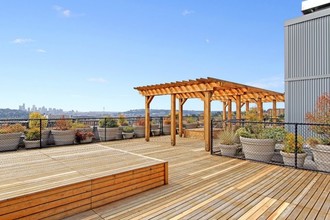 Acacia Court in Seattle, WA - Foto de edificio - Building Photo