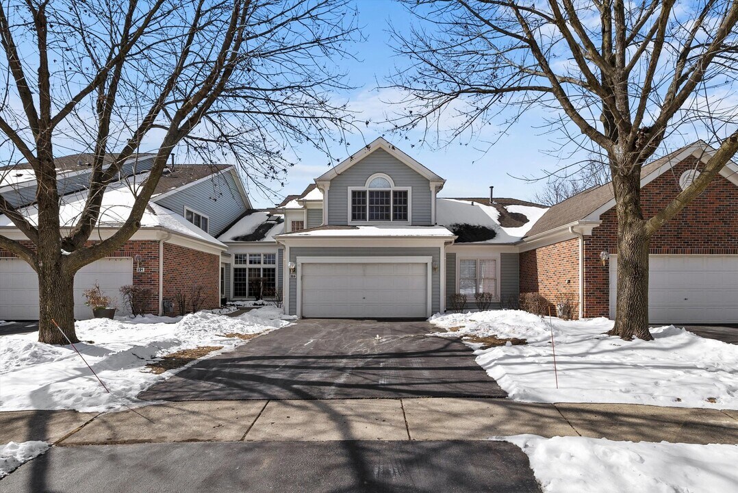 289 Ripplebrook Ct in Schaumburg, IL - Building Photo