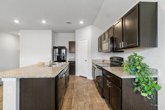 15101 Siberian Elm Ln in Austin, TX - Building Photo - Building Photo