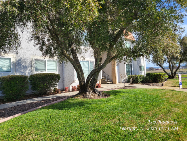 property at 2364 Las Plumas Ave