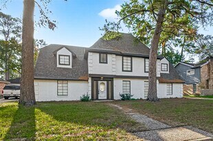 3815 Fernglade Dr in Houston, TX - Building Photo
