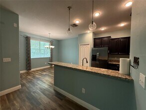 20515 Grand Vista Ln in Tampa, FL - Building Photo - Building Photo