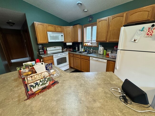 16693 Hightop Way in Cass Lake, MN - Building Photo - Building Photo