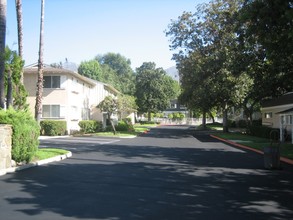 Anita Oaks 245 West Colorado BLVD in Arcadia in Arcadia, CA - Foto de edificio - Building Photo