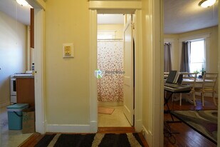 217 Kelton St, Unit 17 in Boston, MA - Building Photo