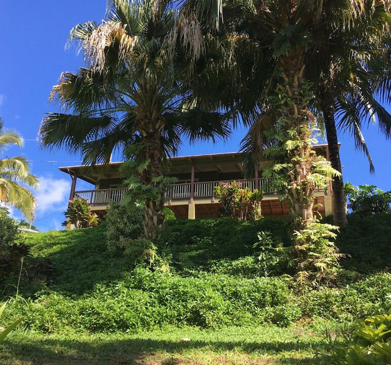 4590 Kuli Rd in Kalaheo, HI - Building Photo