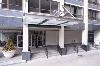 Pearson on the Park Condos in Chicago, IL - Building Photo - Building Photo