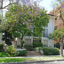 435 N Palm Dr in Beverly Hills, CA - Building Photo - Building Photo