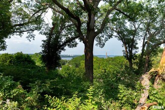 4640 5th Ave in Moline, IL - Building Photo - Building Photo