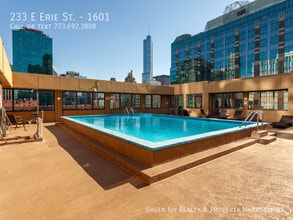 233 E Erie St in Chicago, IL - Building Photo - Building Photo