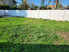 17832 Rhoda St in Encino, CA - Building Photo - Building Photo