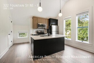 322 Fountain St NE in Grand Rapids, MI - Building Photo - Building Photo
