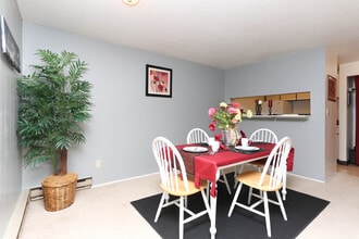 THE QUADS APARTMENTS in Carbondale, IL - Foto de edificio - Interior Photo