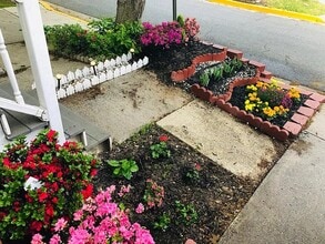 18904 Snow Fields Cir in Germantown, MD - Building Photo - Building Photo