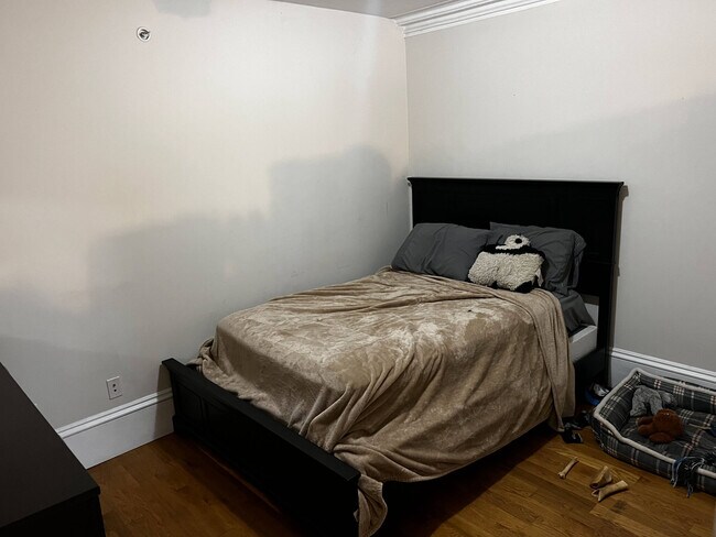 691 Massachusetts Ave, Unit 1A in Boston, MA - Foto de edificio - Building Photo