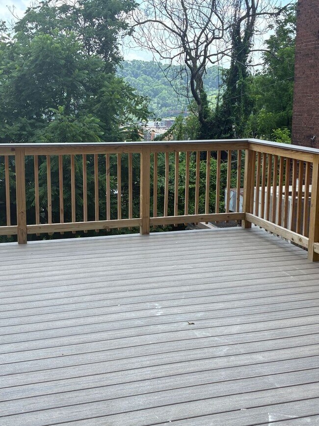 1539 Lowrie St in Pittsburgh, PA - Building Photo - Building Photo
