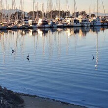 5 Admiral Dr in Emeryville, CA - Foto de edificio - Building Photo