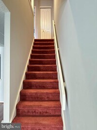 419 Shawmont Ave photo'