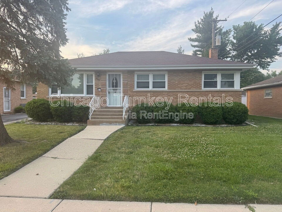 1006 E 163rd Pl in South Holland, IL - Building Photo