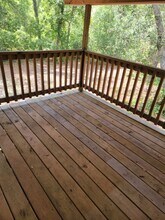 203 Powerline Rd in Melrose, FL - Building Photo - Building Photo