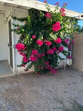 3558 E Cody St in Tucson, AZ - Building Photo - Building Photo