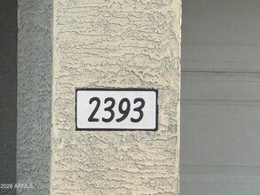 2393 E Morelos St in Chandler, AZ - Building Photo - Building Photo
