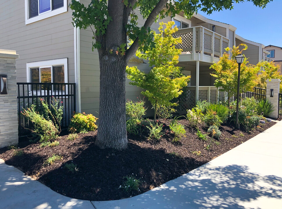 Cypress Pointe Apartments in Gilroy, CA - Building Photo