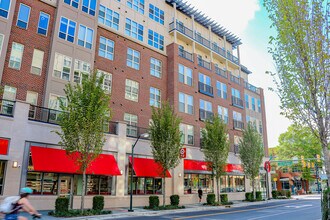 Carolina Square in Chapel Hill, NC - Building Photo - Building Photo