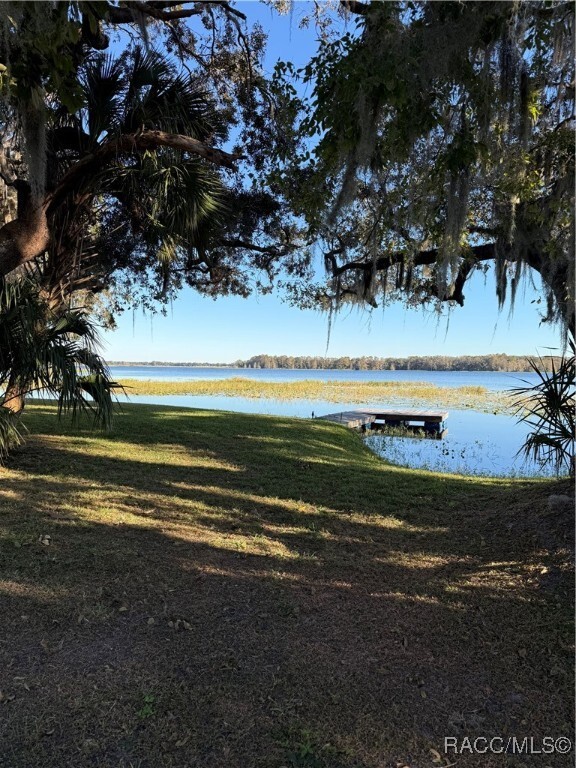 405 S Nesbitt Terrace in Inverness, FL - Building Photo - Building Photo