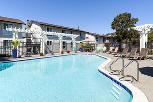Vista Belvedere in Tiburon, CA - Building Photo