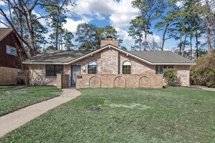 20 Woody Creek Dr in Conroe, TX - Building Photo