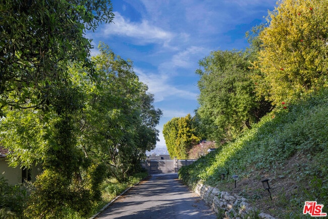 11775 Laurelwood Dr in Los Angeles, CA - Building Photo - Building Photo