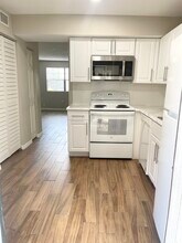 12406 Orange Blossom Oak Pl in Tampa, FL - Building Photo - Building Photo