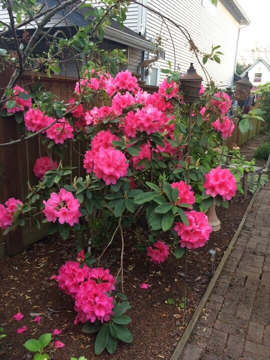 1728 26th Ave S in Seattle, WA - Building Photo