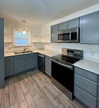 813 Waverly St in Houston, TX - Building Photo - Building Photo