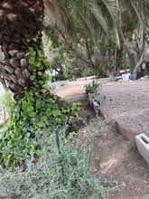 2110 Glendale Blvd in Los Angeles, CA - Building Photo - Building Photo