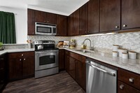 Chestnut Tower Apartments in Chicago, IL - Building Photo - Building Photo