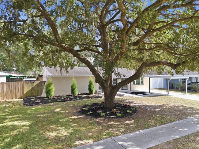 613 N Highview Ter in Brandon, FL - Building Photo - Building Photo