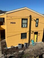 703 Wilkinson Blvd in Frankfort, KY - Building Photo