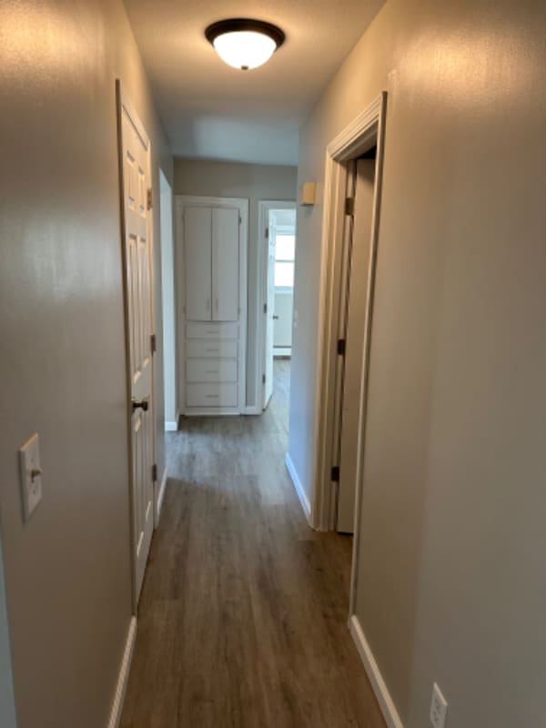 202 Lincoln St in Norwood Young America, MN - Building Photo - Building Photo