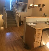 1425 S Emporia Ct in Denver, CO - Building Photo - Building Photo