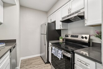 Amber Hill in San Antonio, TX - Foto de edificio - Building Photo