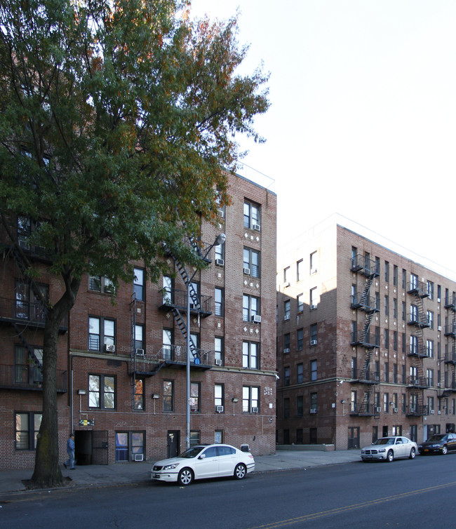 1133 Morrison Ave in Bronx, NY - Building Photo - Building Photo